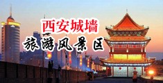 吊鸡巴视频中国陕西-西安城墙旅游风景区